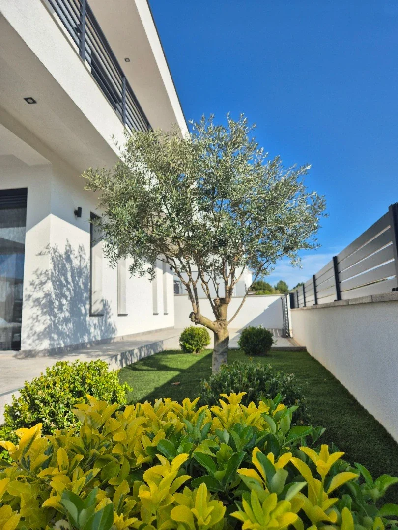 Villa Details