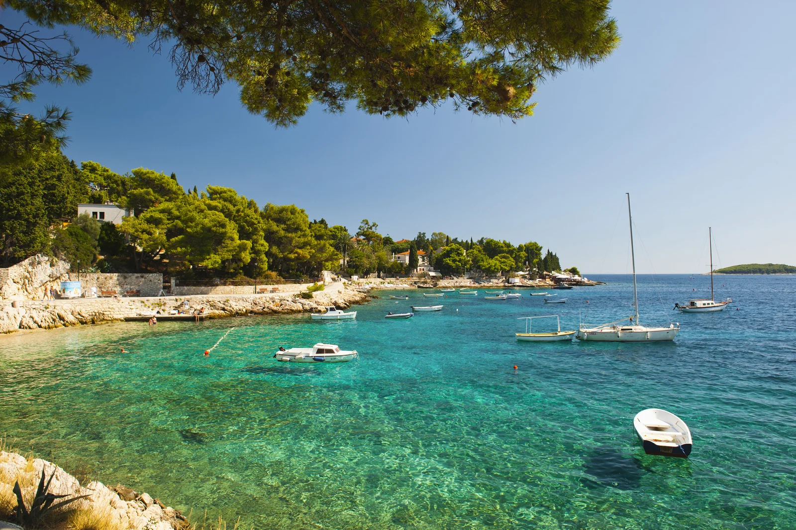 The Adriatic shore